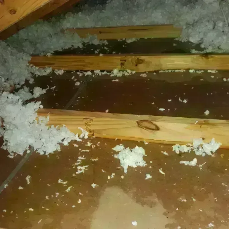 Attic Water Damage in Vanderburgh County, IN