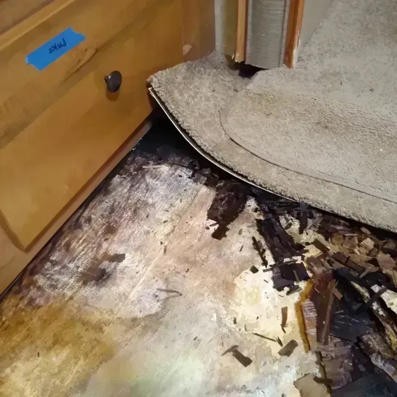 Wood Floor Water Damage in Vanderburgh County, IN